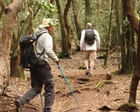 Canaventura Hiking Tours - ANAGA - LA LAGUNA  ONLY WHEN RESIDING IN SOUTH OF TENERIFE