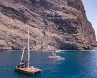 Freebird Catamaran Dolphin & Whalewatching - ONLY WHEN RESIDING IN THE NORTH OF TENERIFE 