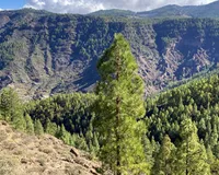 Hiking World Gran Canaria - From South & West
