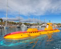 Submarine safaris  -  ONLY WHEN RESIDING IN SOUTH OF TENERIFE