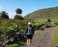 Canaventura Hiking Tours - CAMINO REAL ONLY WHEN RESIDING IN SOUTH OF TENERIFE